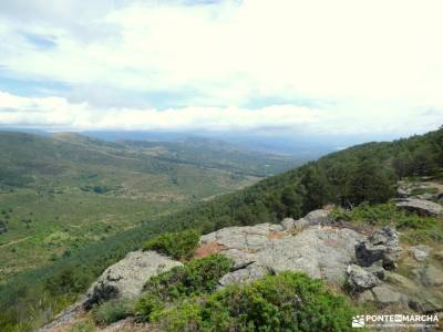 Mojonavalle - Sestil de Maillo: Bosques de Canencia;turismo alto tajo navarra pirineos rio manzanare